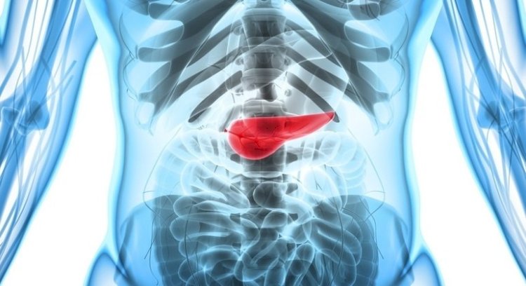 Cientistas descobrem mecanismo que pode impedir a metástase do câncer de pâncreas