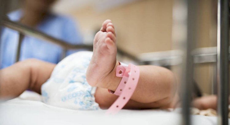Cientistas descobrem composto químico que pode influenciar partos prematuros