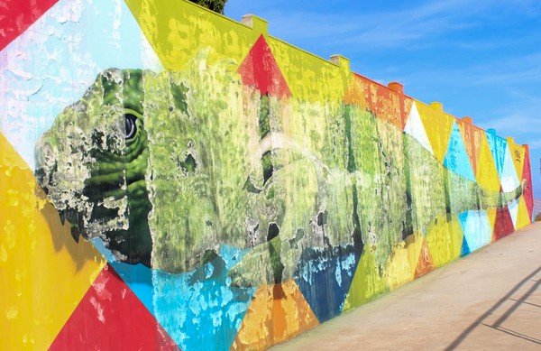 Muralista Eduardo Kobra e Prefeitura de Boa Vista são alvos de buscas após painel de R$ 400 mil derreter