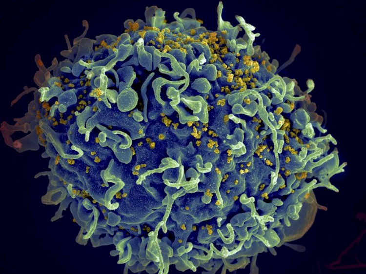 HIV: OMS recomenda medicamento injetável de ação prolongada para prevenir infecção pelo vírus