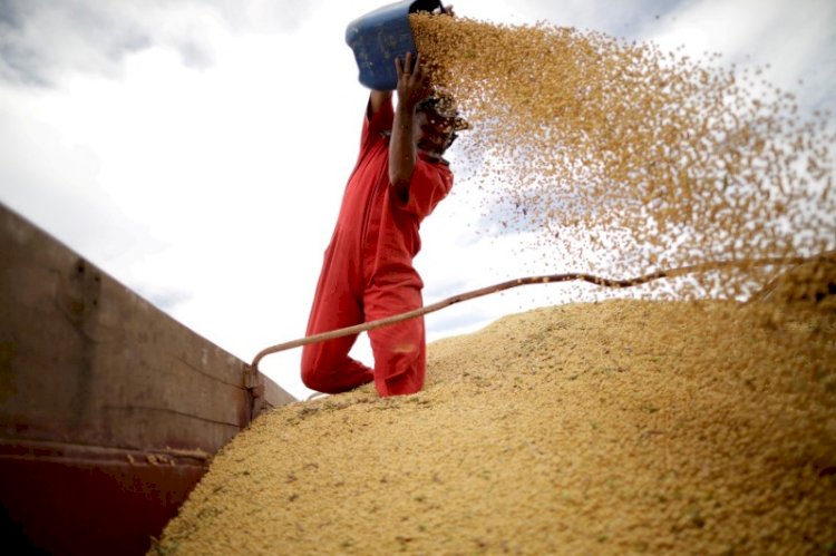 Grandes estimativas de safra de soja do Brasil para 2023 podem não ser excessivas