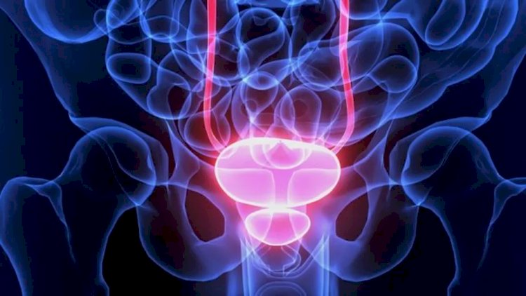 Câncer de próstata: conheça os sintomas e saiba como é o tratamento