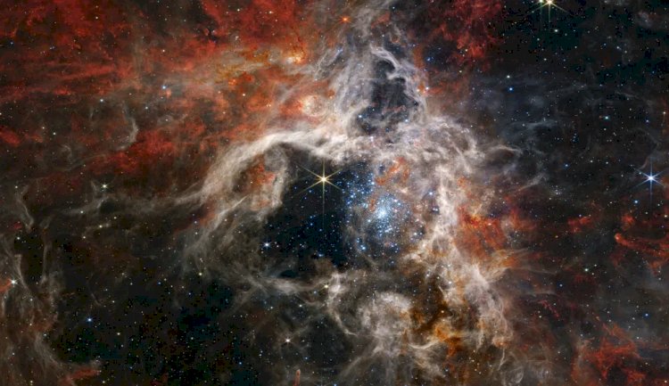 'Tarântula cósmica': James Webb flagra milhares de estrelas nunca antes vistas em 'berçário' celeste