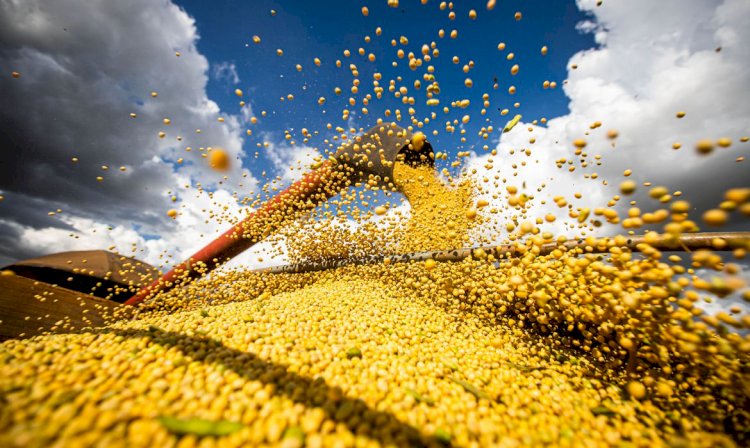 Economia Conab prevê safra de grãos superior a 271 milhões de toneladas