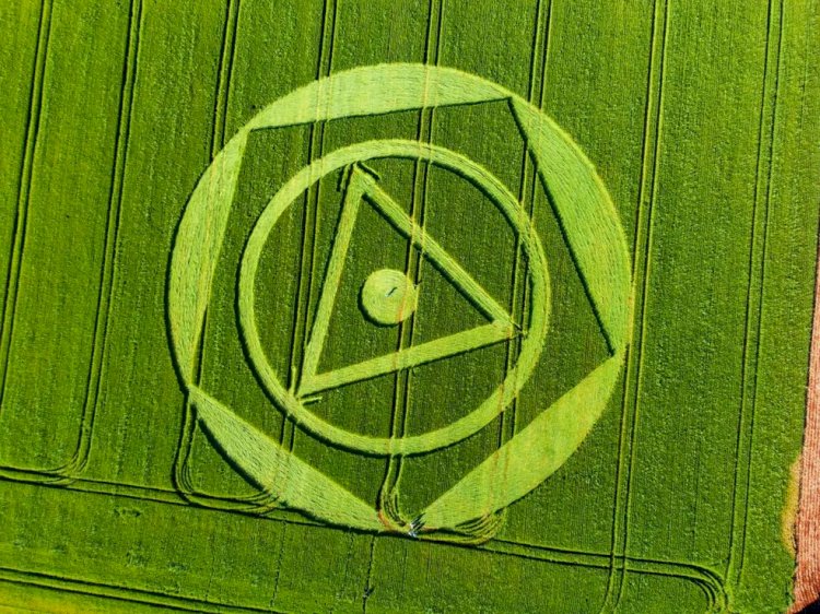 Agroglifo aparece em plantação de trigo em SC: 'Negócios misteriosos', diz proprietário