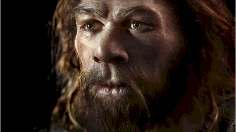 Nobel de Medicina: como foi a 'tarefa impossível' de recriar o DNA Neandertal, que rendeu prêmio a Svante Pääbo