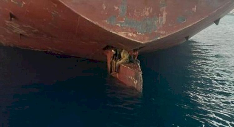 Imigrantes ilegais se agarram ao leme de navio em viagem de 11 dias