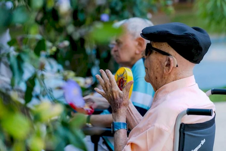 Família reunida: veja 7 atitudes que podem indicar demência em idosos
