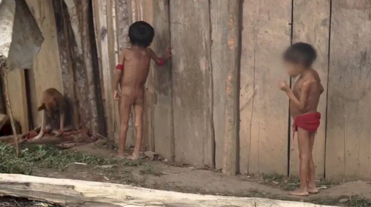 Crianças Yanomami são retiradas dos pais e encaminhadas para adoção, denuncia conselho