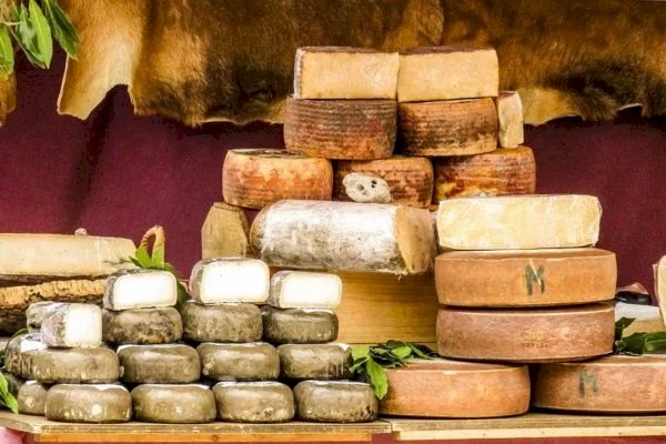 Bom para o intestino e para emagrecer: conheça os poderes do queijo