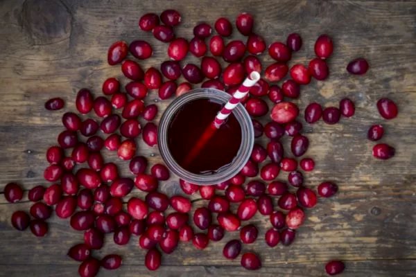 Pesquisa confirma que cranberry ajuda a prevenir infecções urinárias