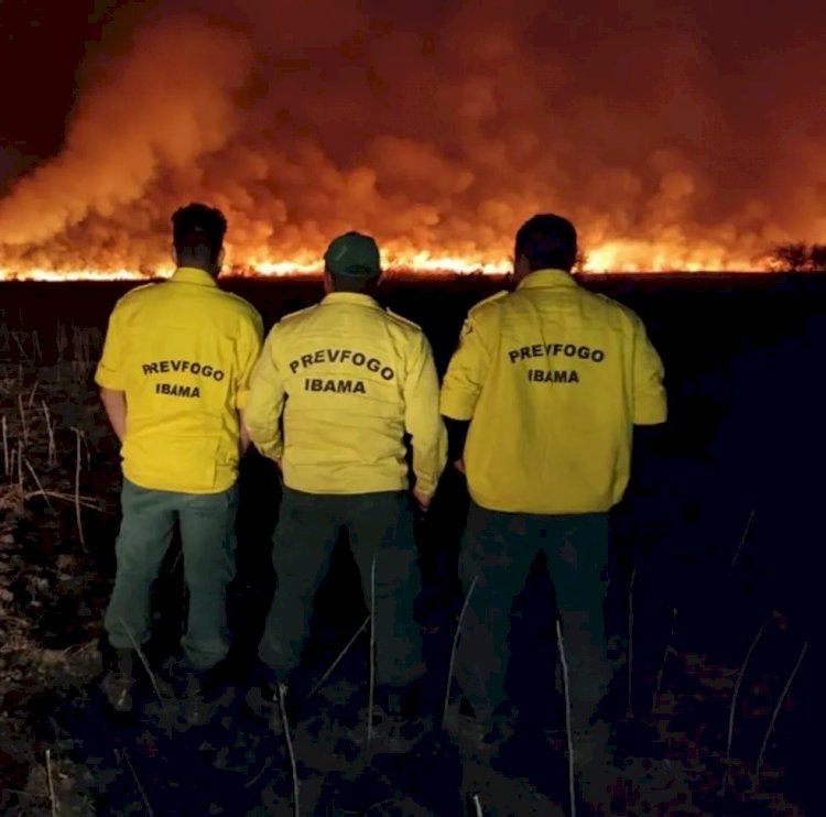 Ibama publica editais de concursos que somam mais de 1,3 mil vagas para combate e prevenção a incêndios florestais