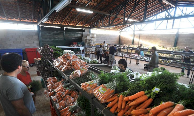 Preços da cenoura e do mamão caem nos principais mercados atacadistas