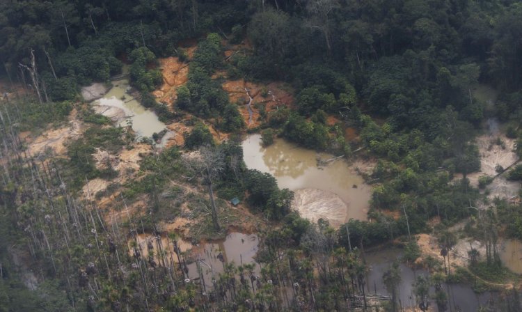 Garimpo ilegal devasta área de 118 hectares em Rondônia e no Amazonas