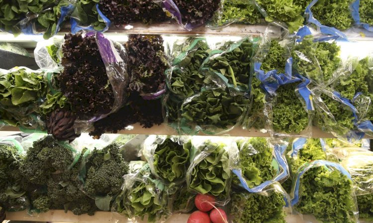Frio influencia preços de frutas e hortaliças no atacado