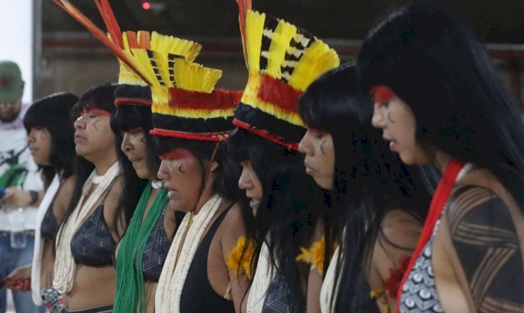 Festival em Brasília celebra tradições de povos tradicionais
