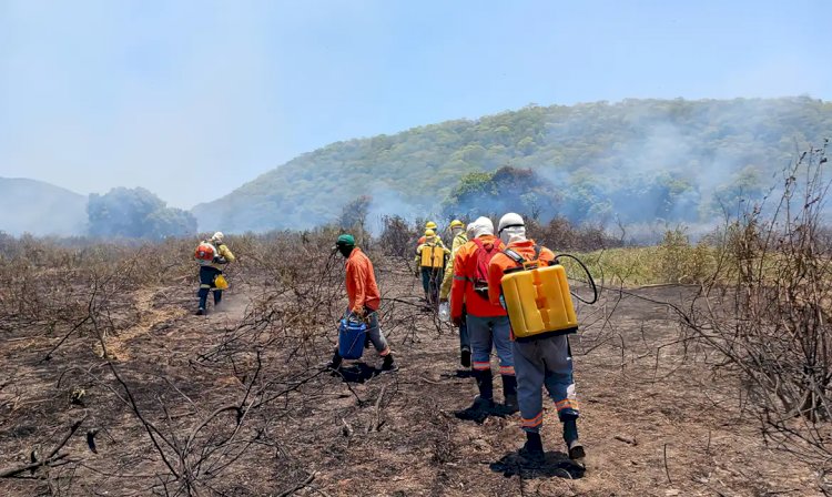 Incêndio no Pantanal está controlado, diz Instituto Homem Pantaneiro