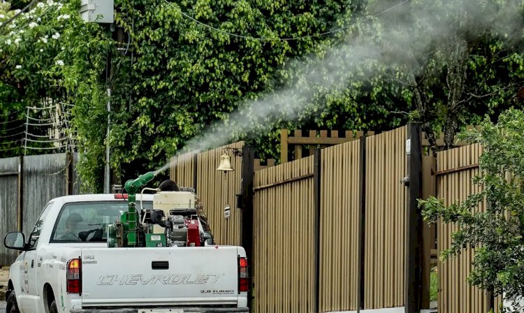 Rio de Janeiro confirma segunda morte por dengue
