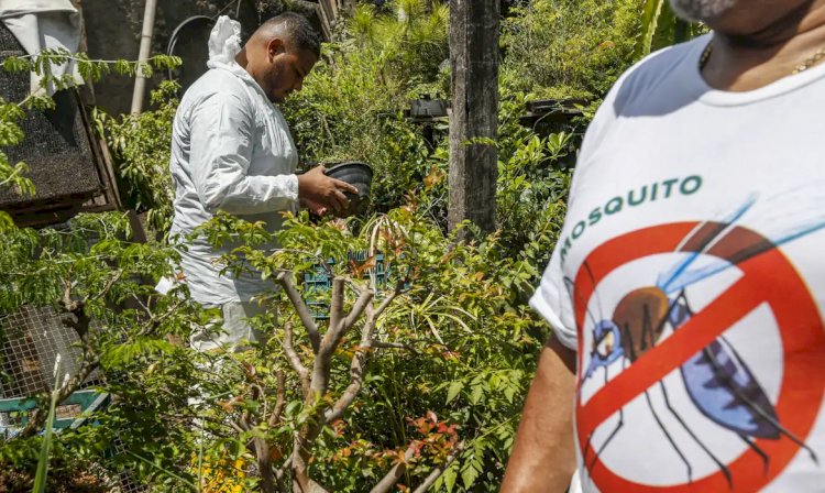 Brasil registra mais de 2 milhões de casos de dengue