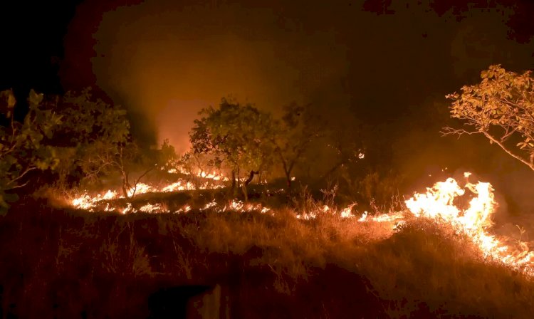 Seca faz incêndios em florestas maduras crescerem 152% na Amazônia