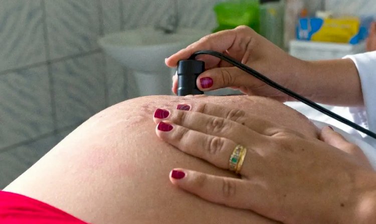 Saúde Teste para HTLV passa a ser indicado para gestantes durante pré-natal