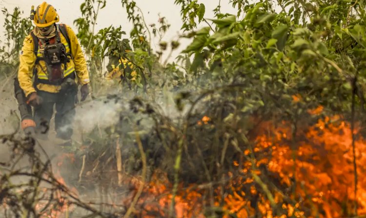 Brasil tem 1 milhão de focos de queimada registrados em 5 anos