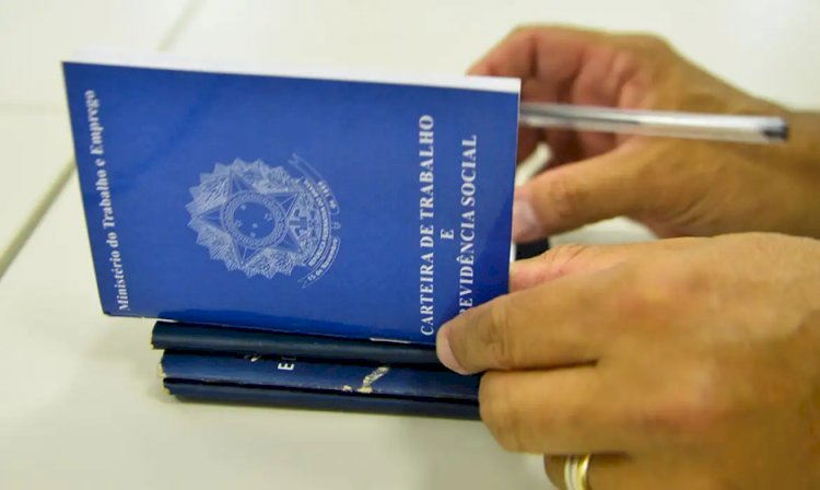 Desemprego entre jovens cai pela metade entre 2019 e 2024