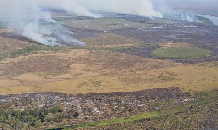 Amazônia: alerta de desmatamento cresce e mobiliza governo