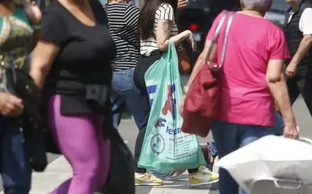 Censo 2022: mulheres têm mais estudo, mas ganham menos que homens