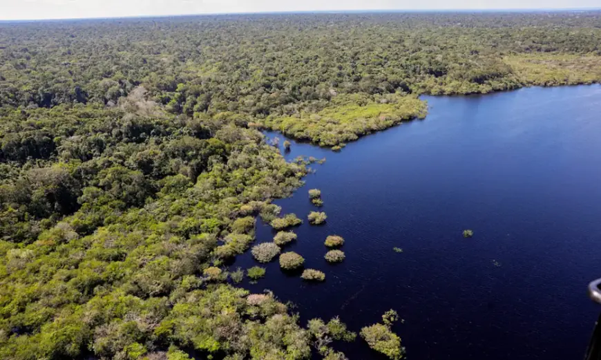 Amazônia e Cerrado registram queda de 11% no desmatamento