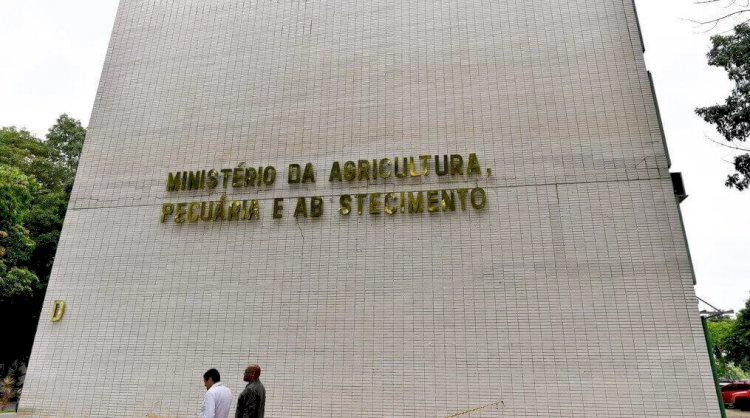 Transição da Agricultura irá se opor à criação do Ministério da Pesca