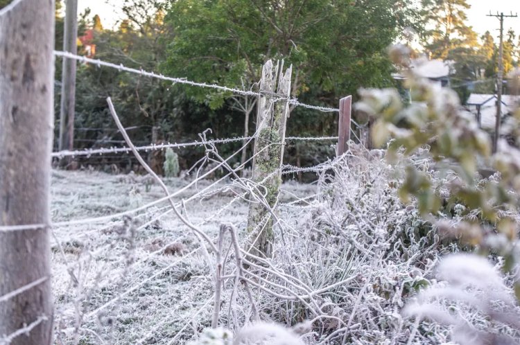 Por que faz frio no inverno? Teste seus conhecimentos e veja se sabe mais do que um aluno do 5º ano