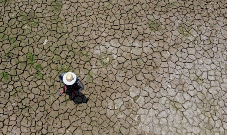 Seca já afeta todos os 62 municípios do Amazonas