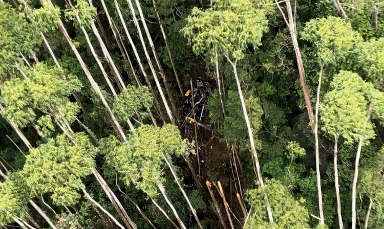 FAB encerra ocorrência sobre helicóptero encontrado em Paraibuna