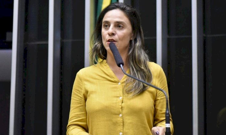 Conselho de Ética da Câmara arquiva ação contra Fernanda Melchionna