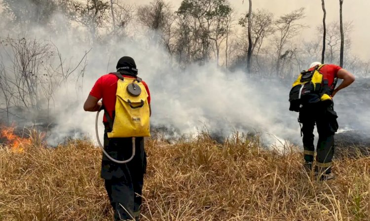 Brasil e Bolívia somarão forças contra incêndios em região fronteiriça