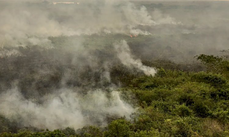 Rondônia declara situação de emergência por incêndios florestais