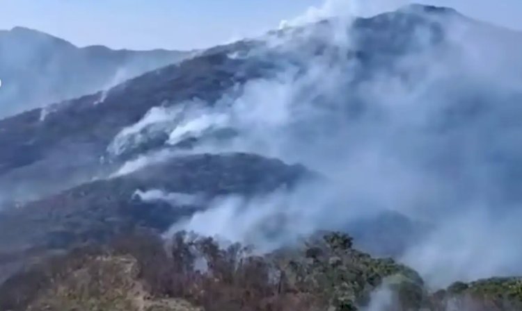 Governo investiga mais de 20 pessoas por incêndios florestais no Rio