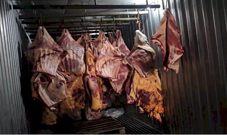 Empresa no RJ revendia carne que estragou durante enchentes no Sul