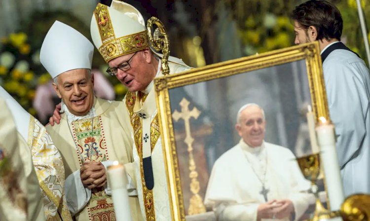 Saiba quem são os sete cardeais brasileiros aptos a eleger o novo papa