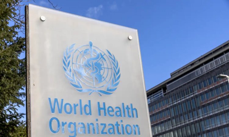 OMS alerta para surto de antraz na República Democrática do Congo