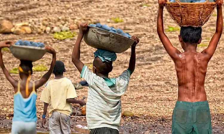 Mais de 6 mil crianças são resgatadas do trabalho infantil em 2 anos