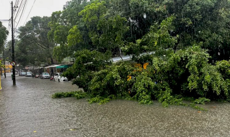 Defesa Civil Alerta é lançado no Nordeste para notificar riscos