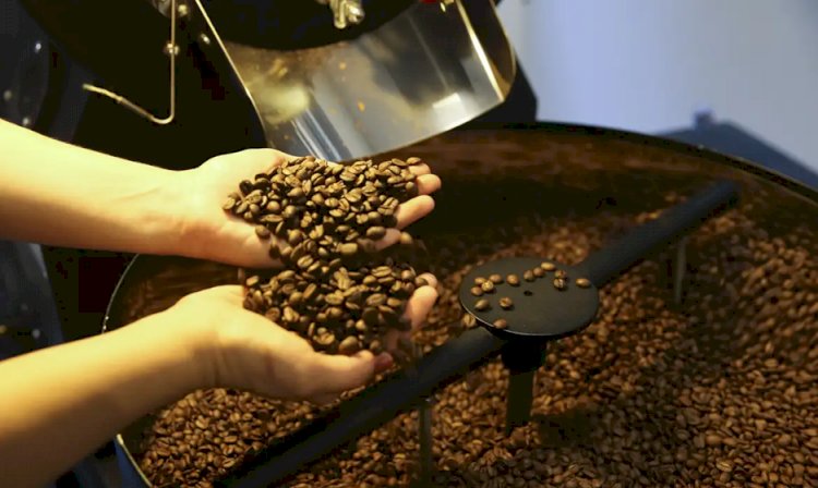Setor cafeeiro pode ser forçado a redirecionar produção, diz USP